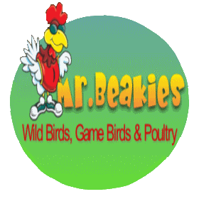 website hosting and design